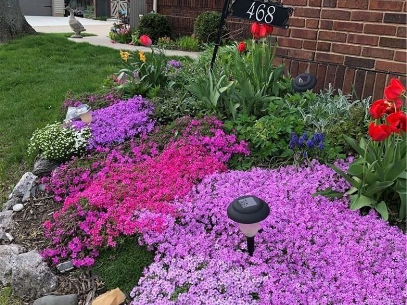 468 High Street, Wadsworth, OH 44281 Photo 25