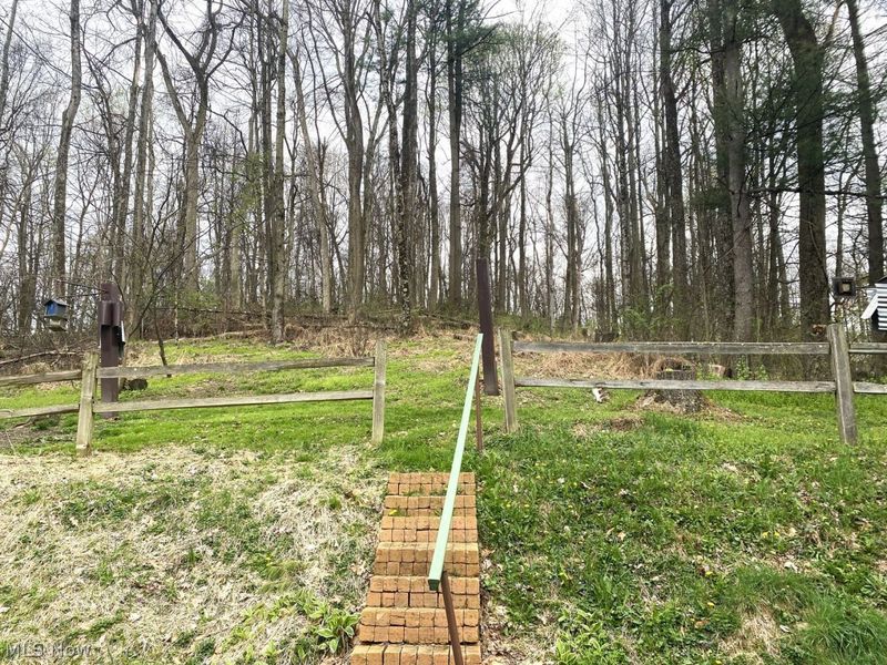 90900 Plum Run Road, Bowerston, OH 44695 Photo 24