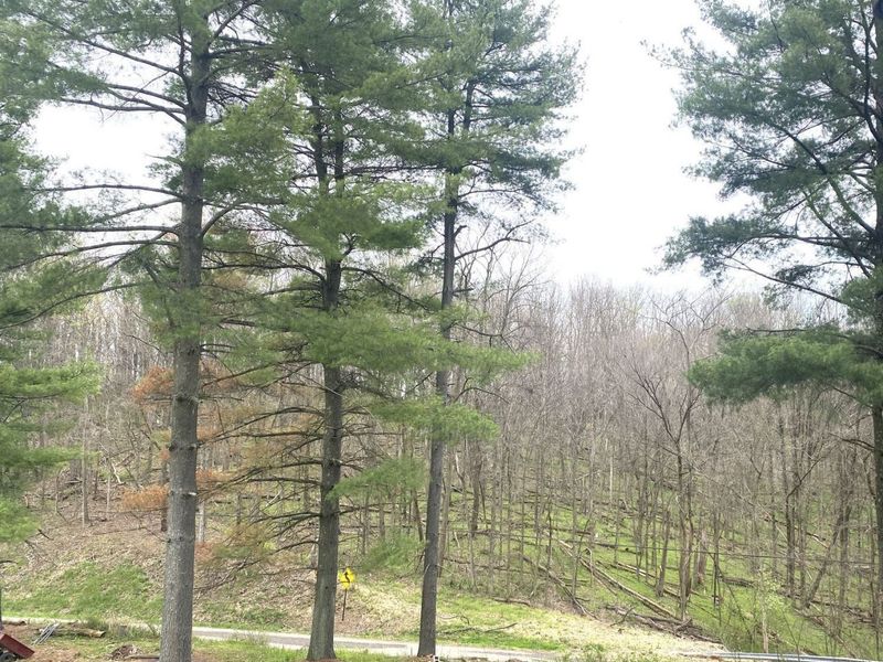 90900 Plum Run Road, Bowerston, OH 44695 Photo 4