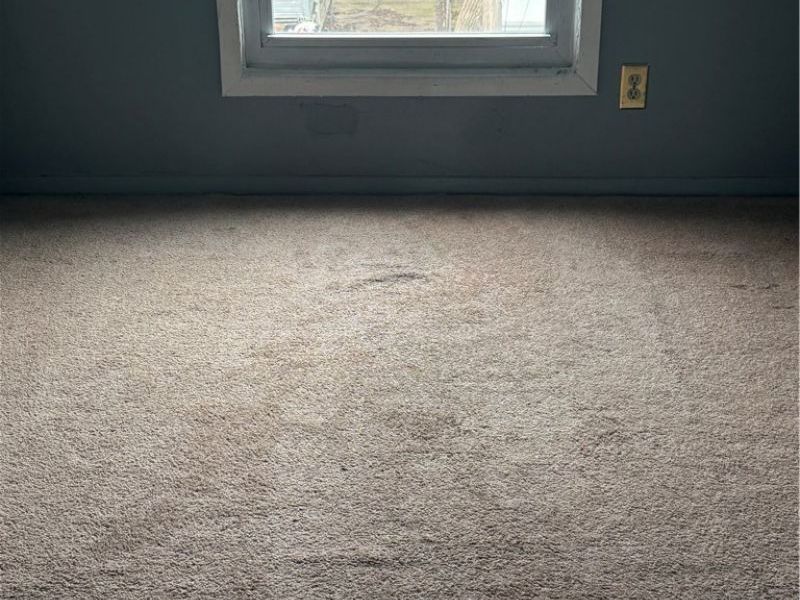 4145 E 120th Street, Cleveland, OH 44105 Photo 8