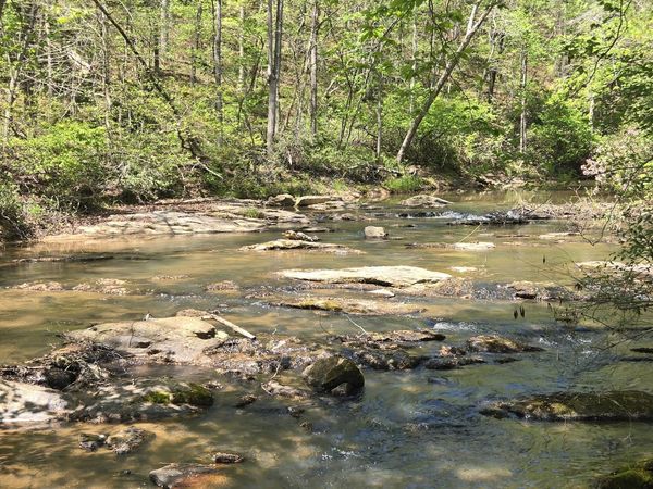 0 Sand Hill Road, Bowman, GA 30624