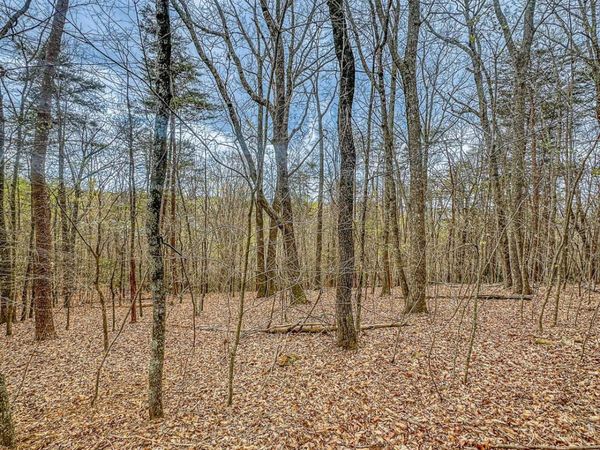 0 Green Meadows, Dahlonega, GA 30533