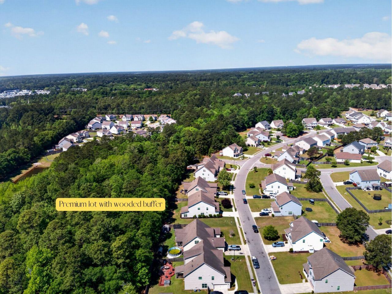 133 Carolina Wren Avenue Photo 56