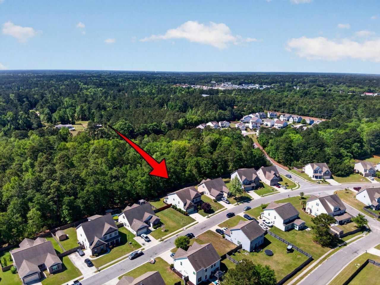 133 Carolina Wren Avenue Photo 57