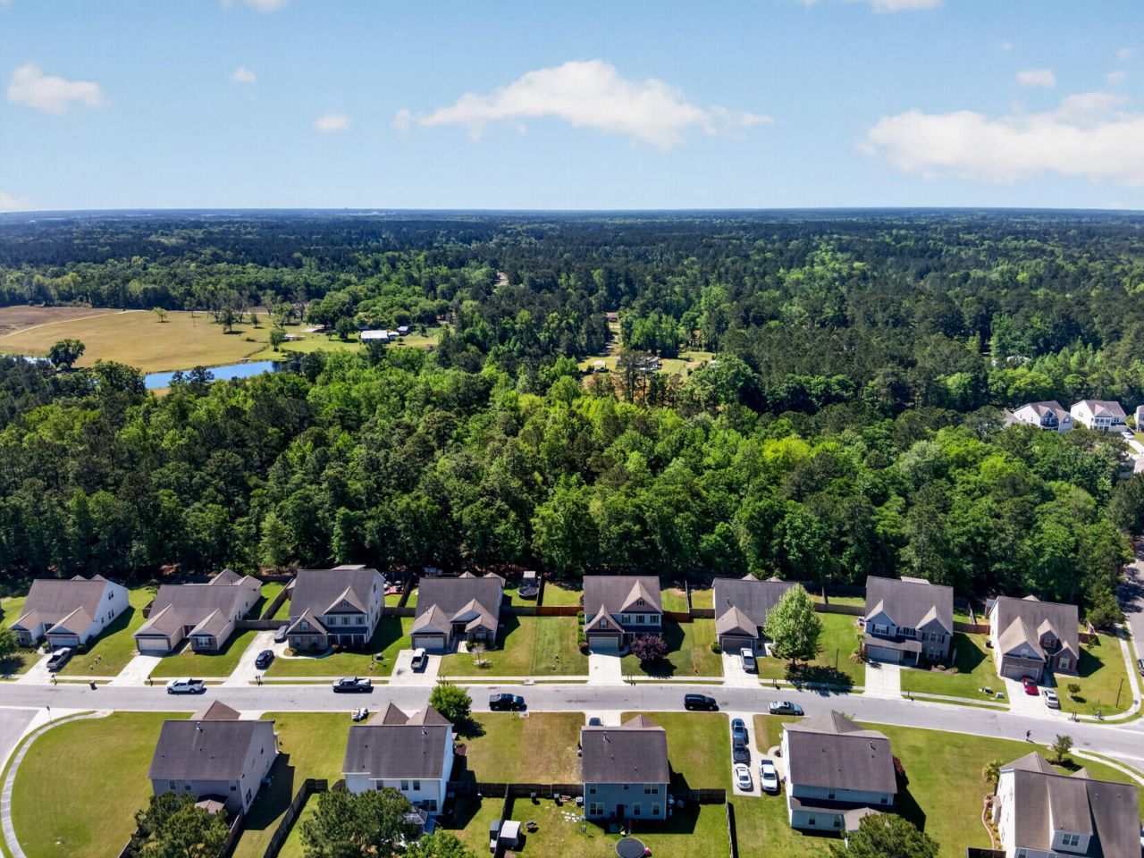 133 Carolina Wren Avenue Photo 58