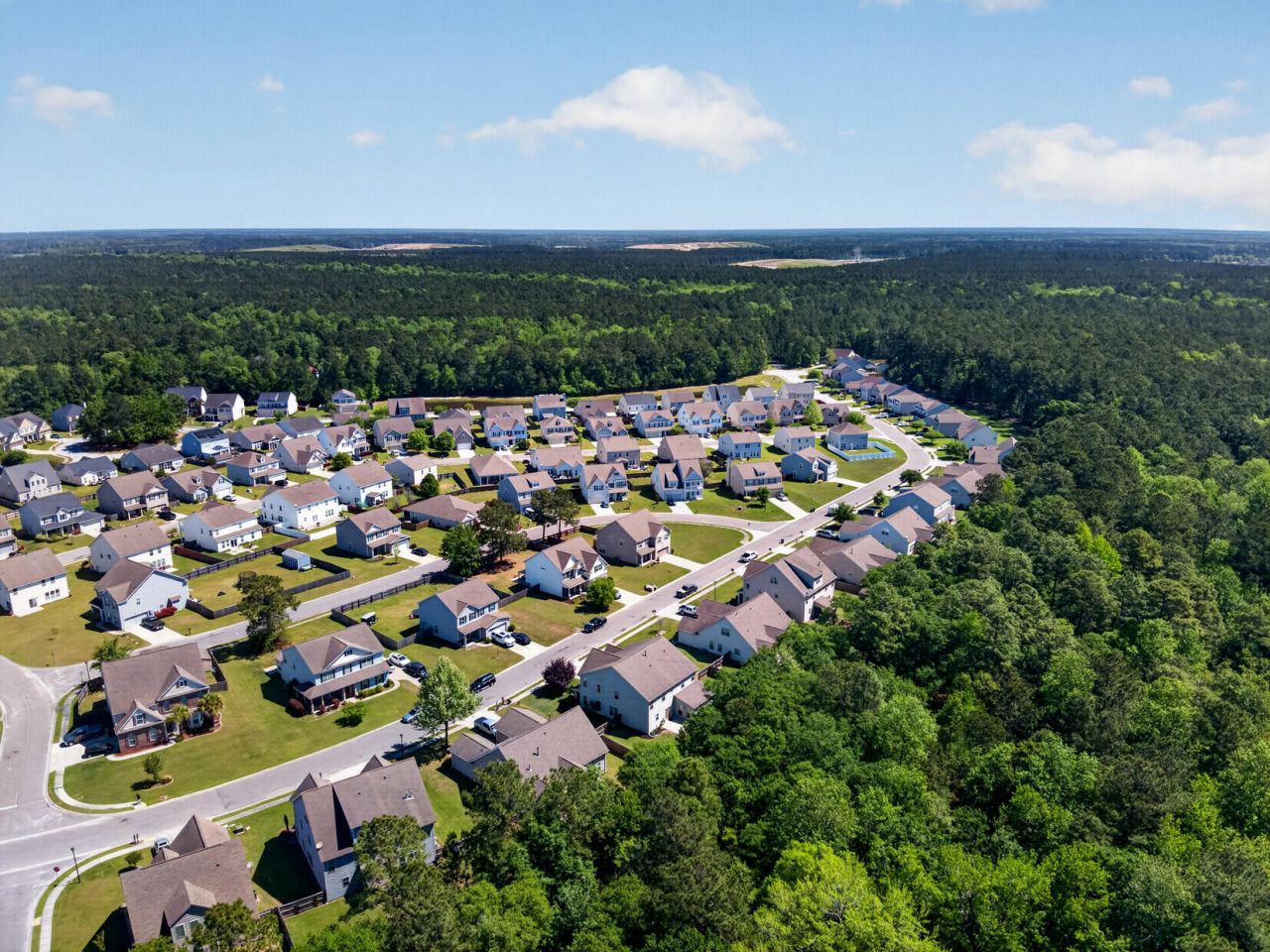 133 Carolina Wren Avenue Photo 59