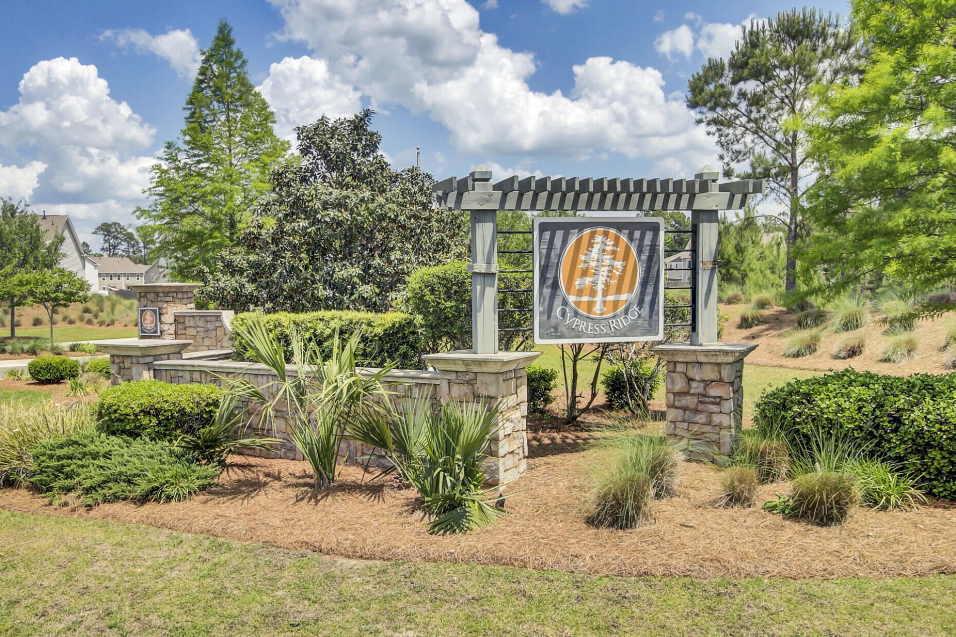 133 Carolina Wren Avenue Photo 62