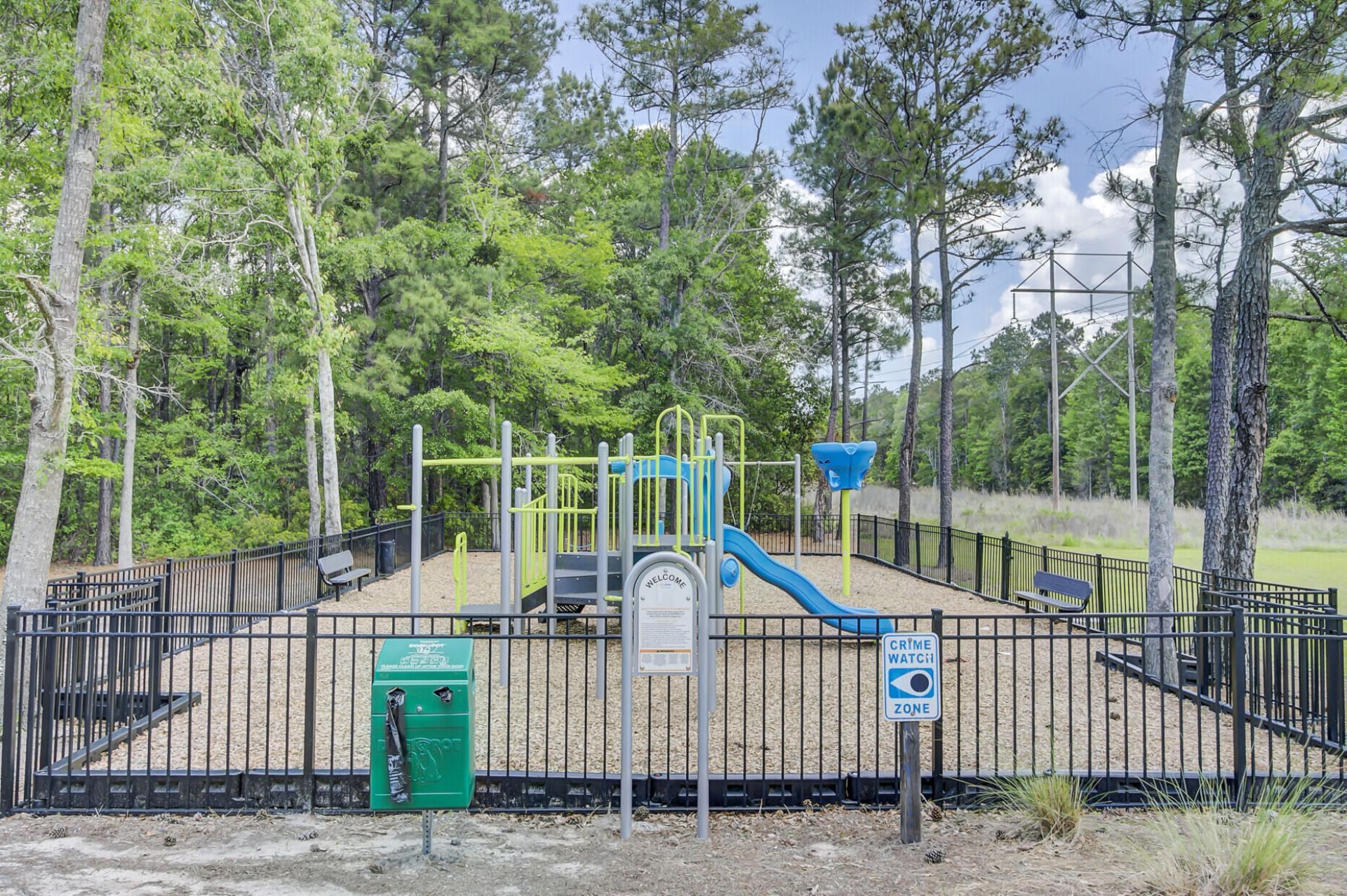 133 Carolina Wren Avenue Photo 68