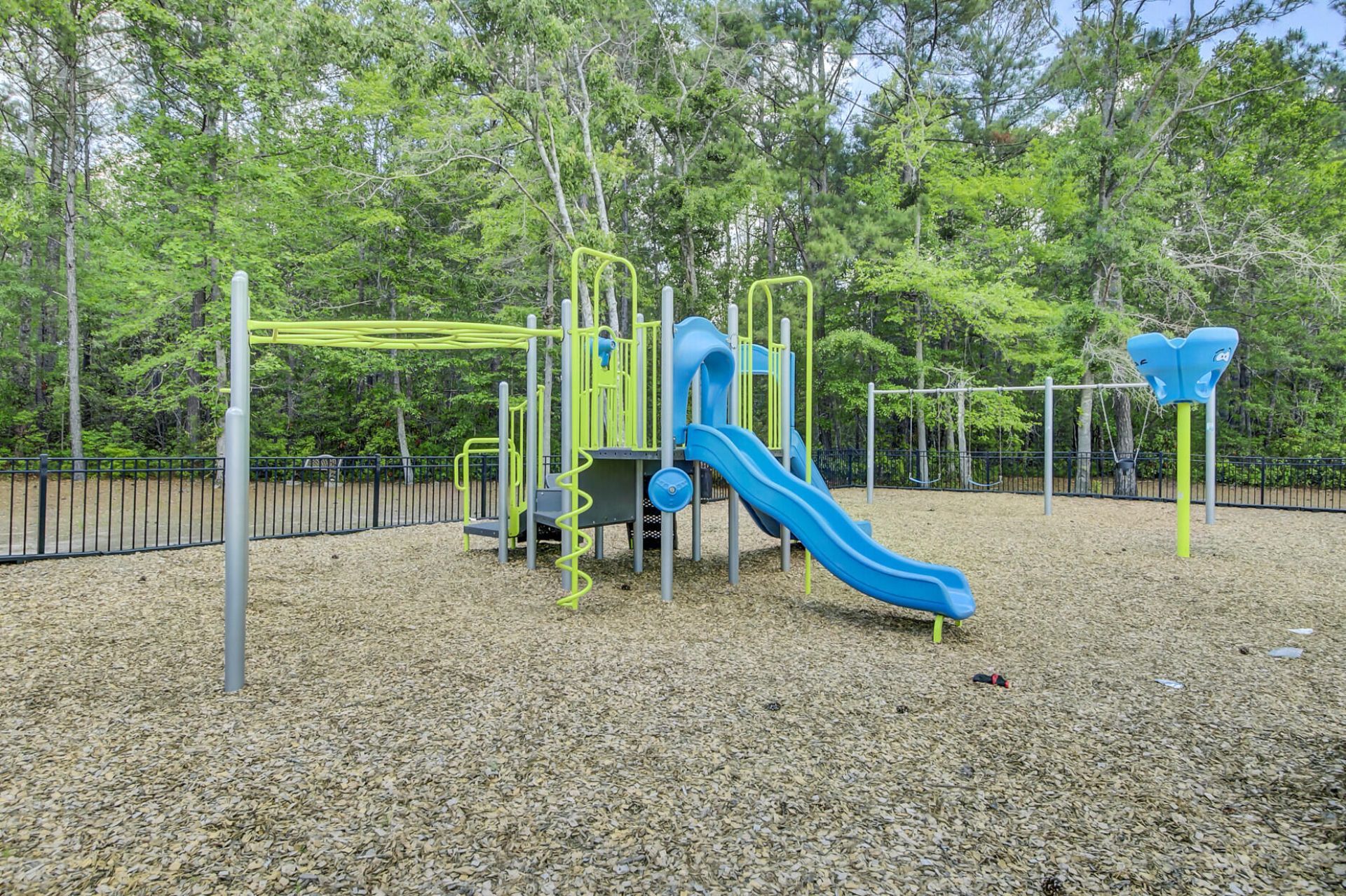 133 Carolina Wren Avenue Photo 69