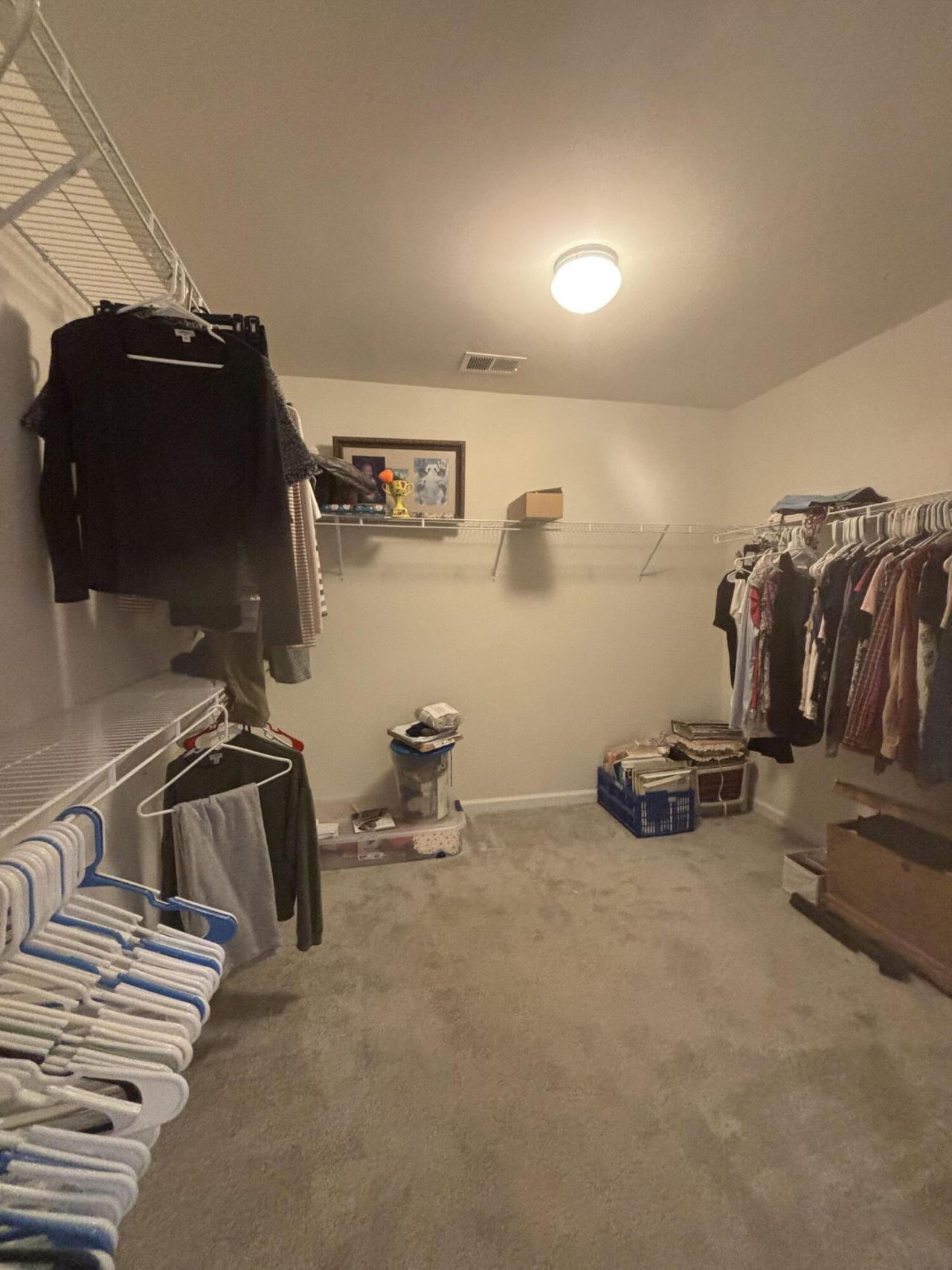 264 Spectrum Road Photo 19