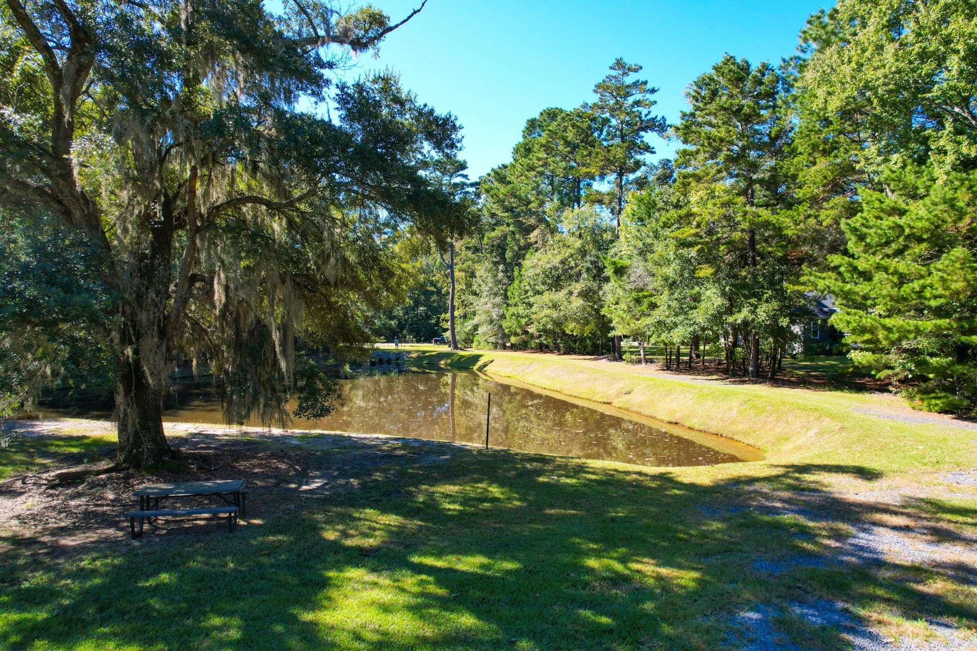 6445 Pepper Grass Trail Photo 74