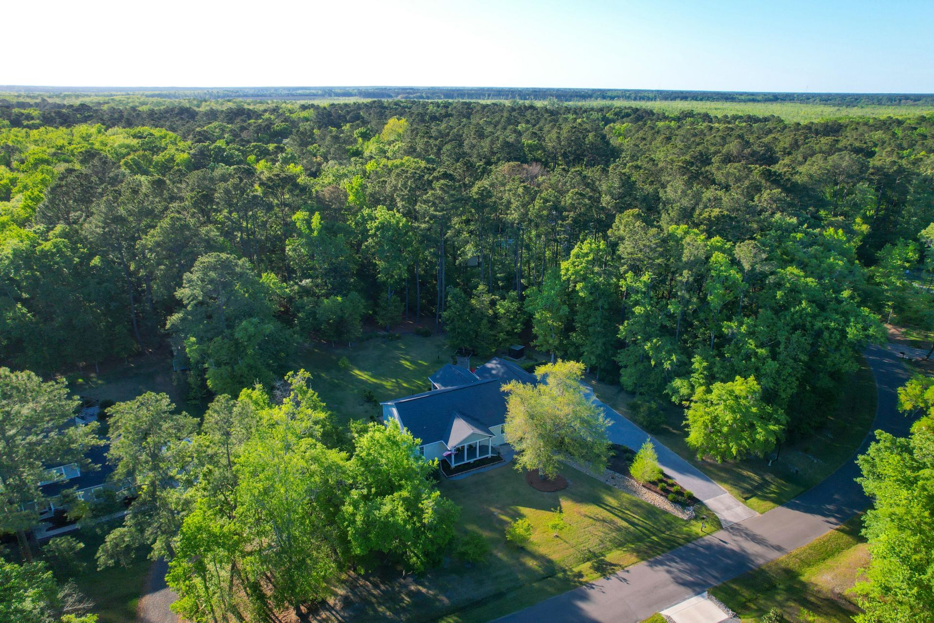 6445 Pepper Grass Trail Photo 79
