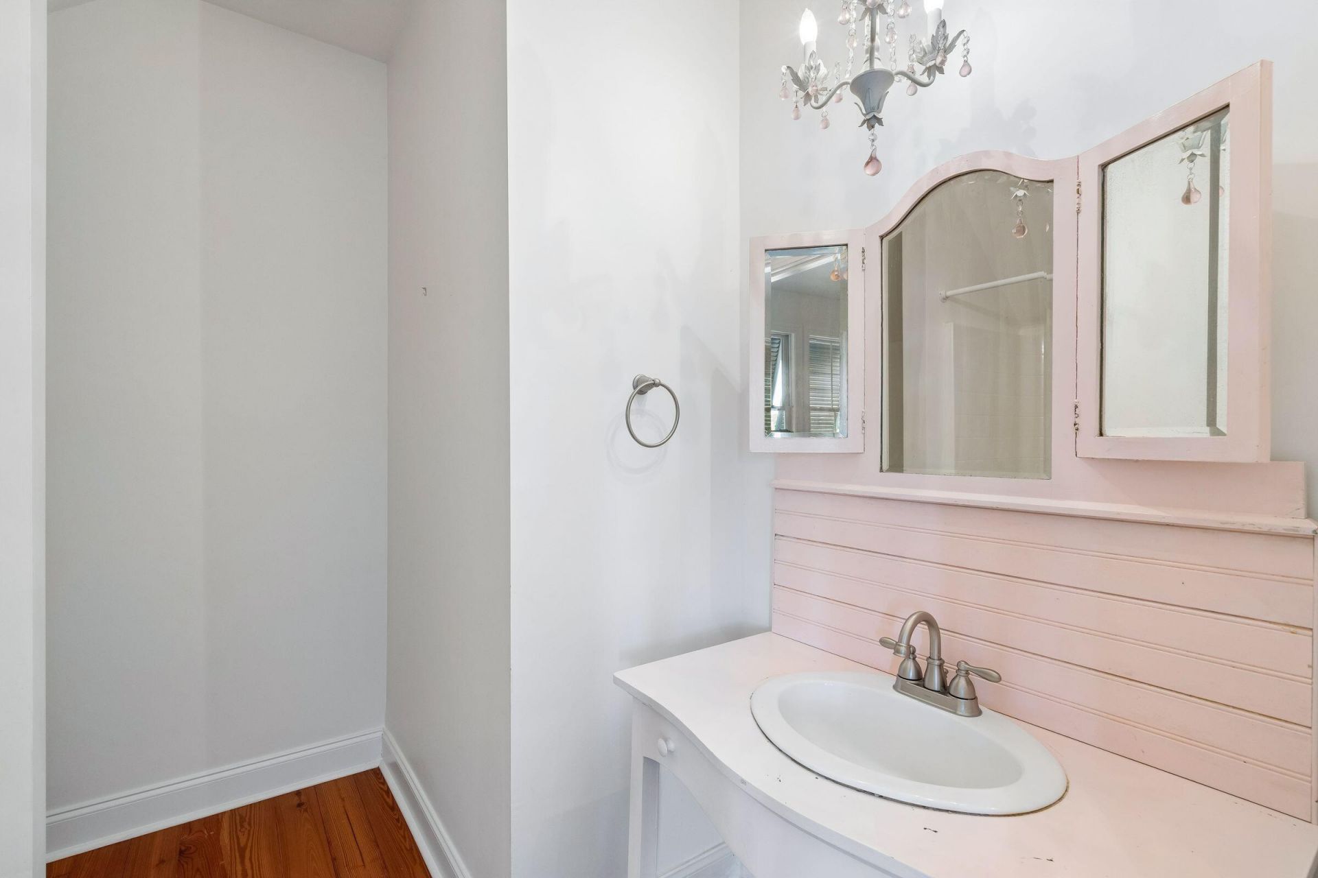 302 Back Pond Court Photo 22