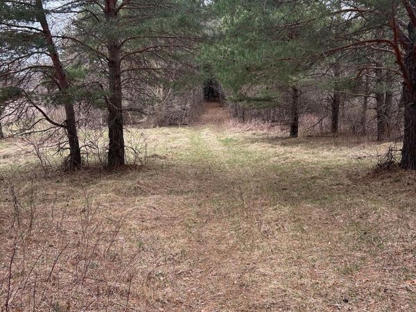 tbd 253rd Street NW, Zimmerman, MN 55398