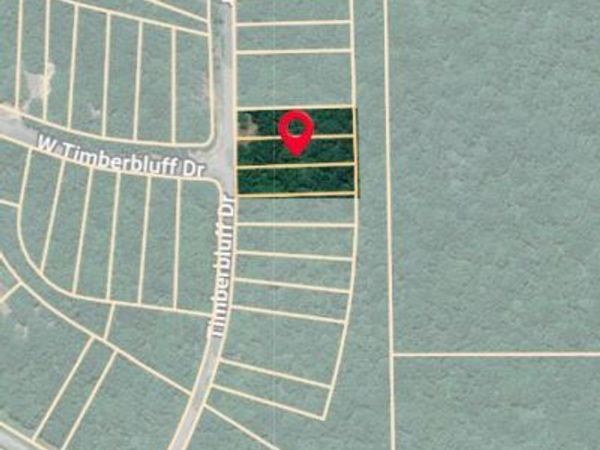 Timber Bluff Drive, Lumberton, MS 39455