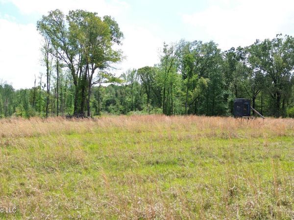 0 Stevens Road, Yazoo City, MS 39194