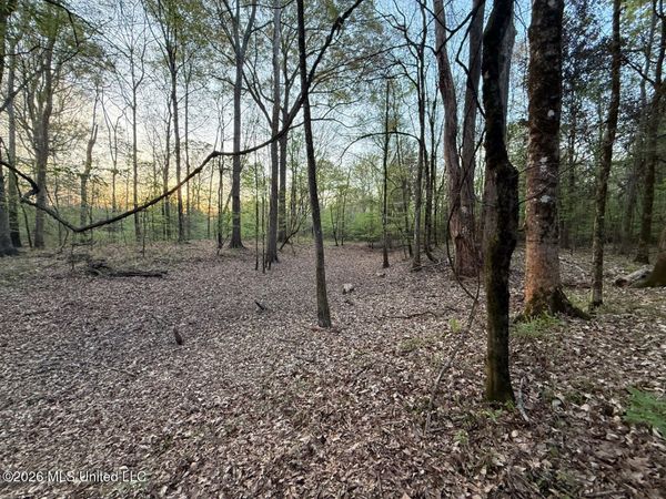 Owen Boone Road, Puckett, MS 39042