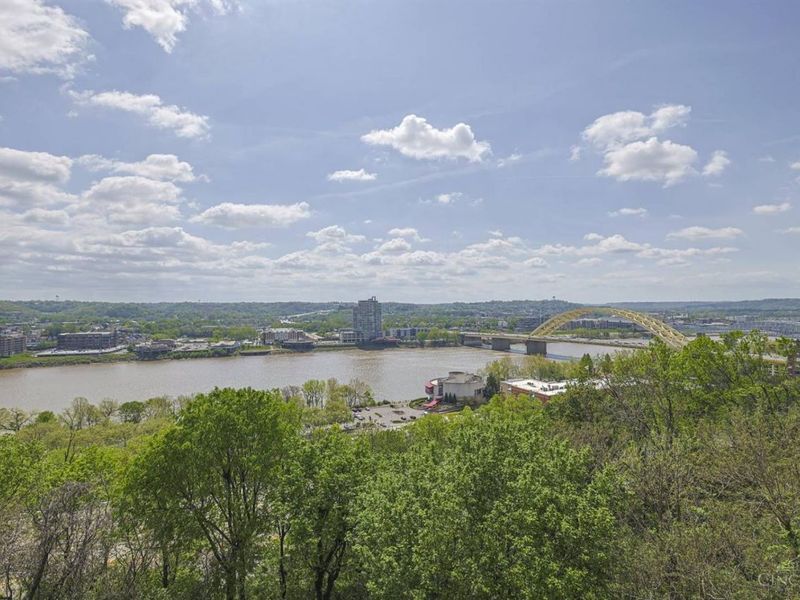 959 Hill Street, Cincinnati, OH 45202 Photo 47