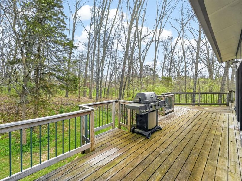 12129 Rich Road, Symmes Township, OH 45140 Photo 86