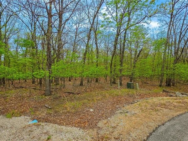 Lot #515-1 Eagles Cove Court, Sunrise Beach, MO 65079