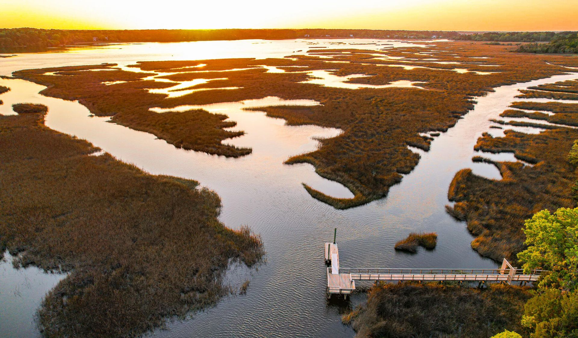 1053 Saltwater Circle Photo 46