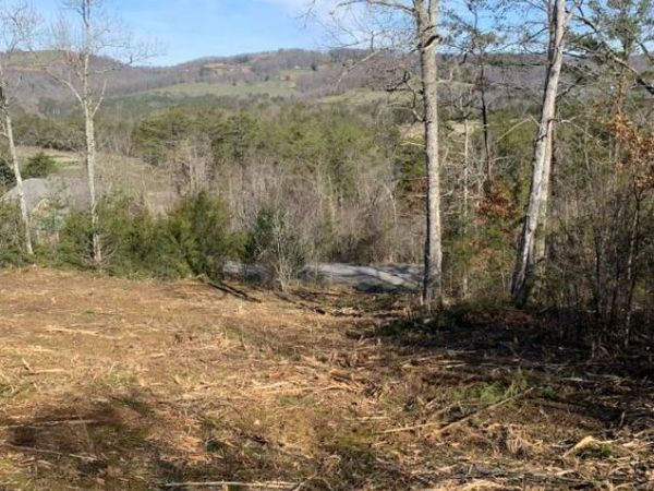 101 Putters Peak, Tazewell, TN 37879