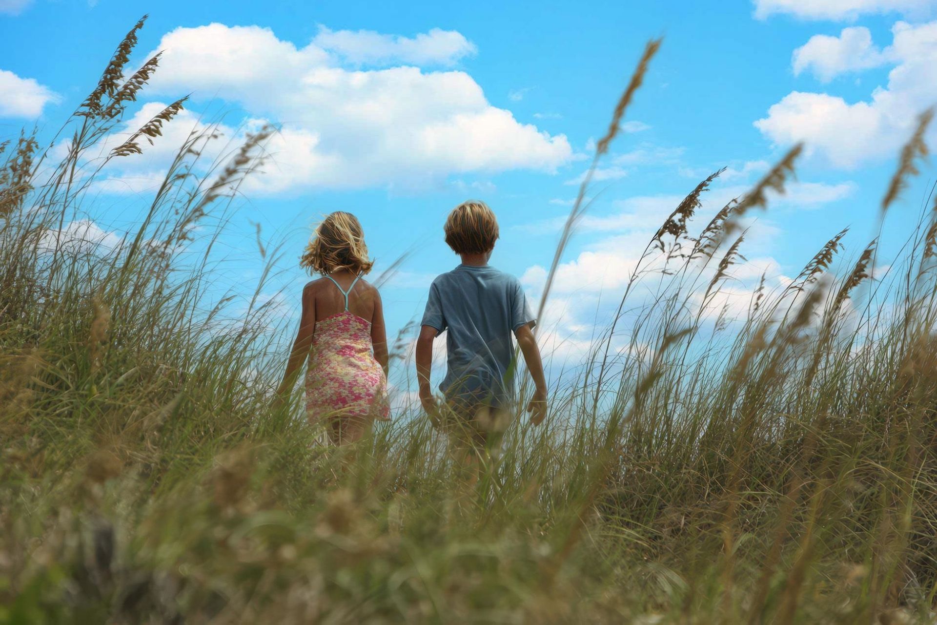 9032 Mabel Ct.  Photo 24