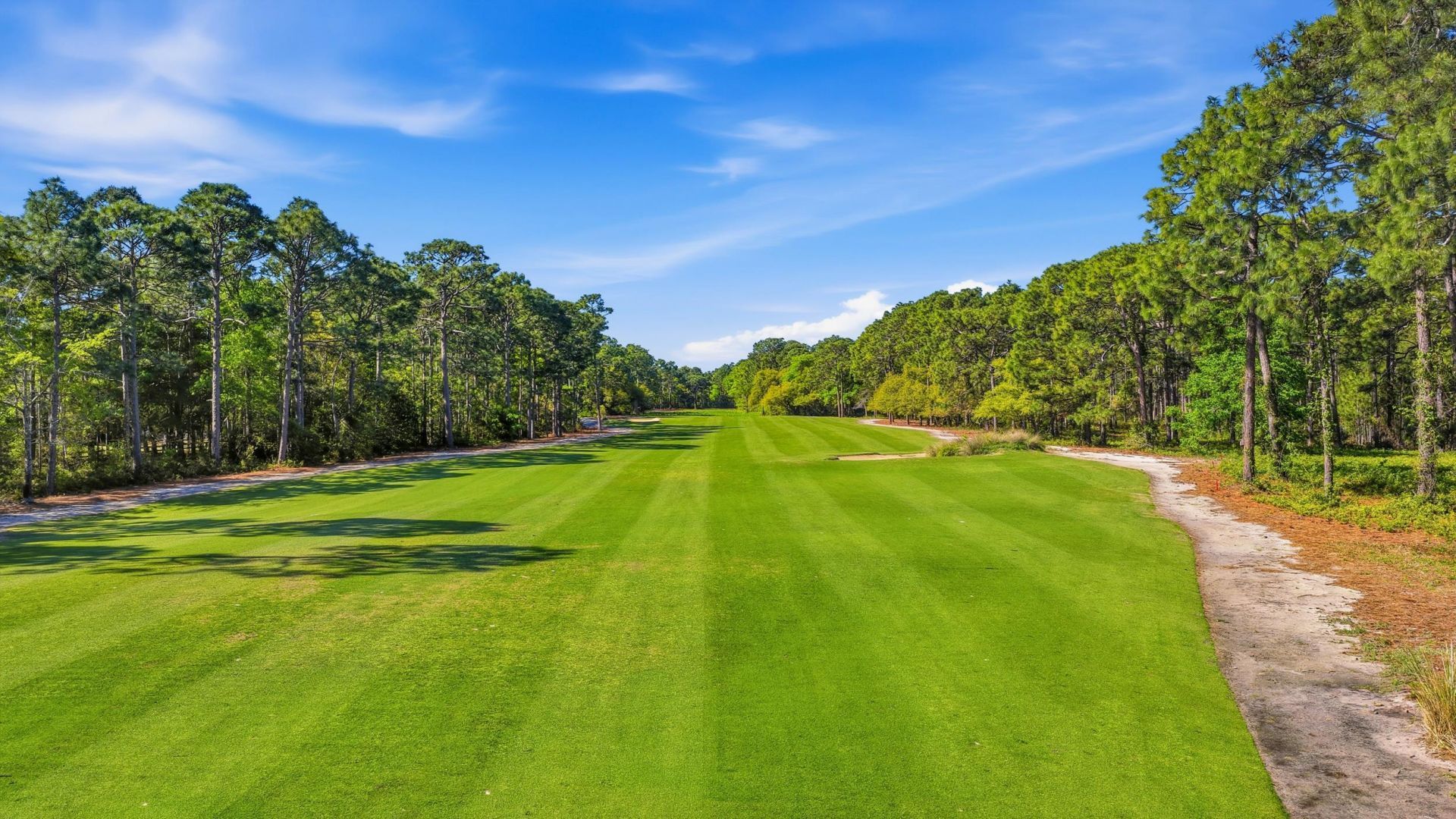 52 Winston Circle  Photo 66