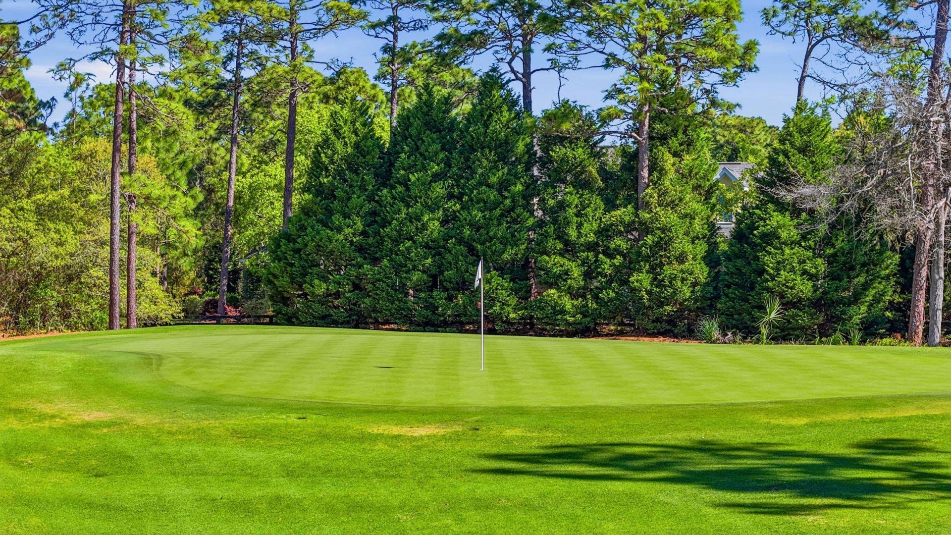 52 Winston Circle  Photo 67