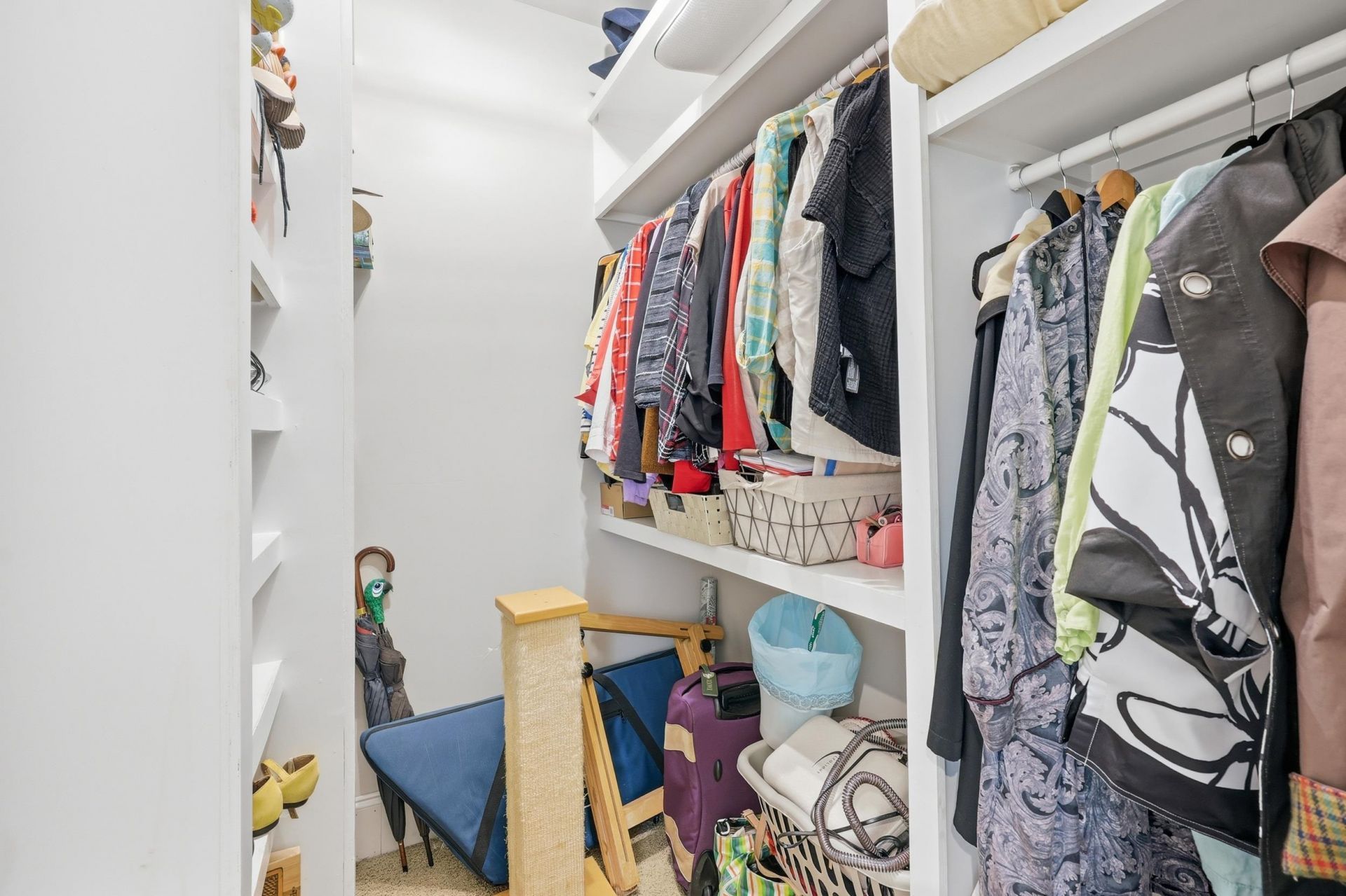 304 Hunters Oak Ct. Photo 53