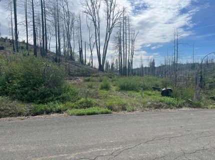 7352 Winding Way, Grizzly Flats, CA 95636 Photo