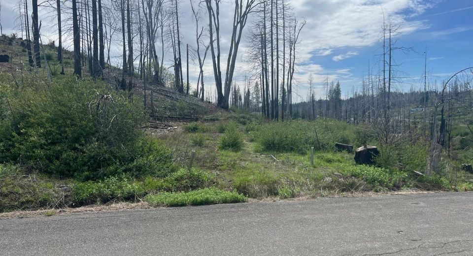 7352 Winding Way, Grizzly Flats, CA 95636 Photo