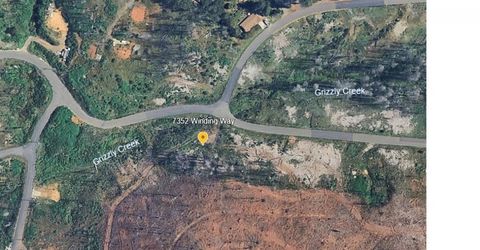 7352 Winding Way, Grizzly Flats, CA 95636 Photo