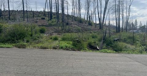 7352 Winding Way, Grizzly Flats, CA 95636 Photo