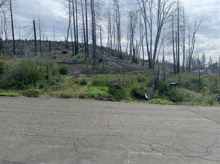 7352 Winding Way, Grizzly Flats, CA 95636 Photo