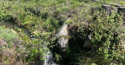 7352 Winding Way, Grizzly Flats, CA 95636 Photo