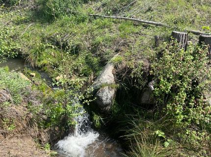 7352 Winding Way, Grizzly Flats, CA 95636 Photo