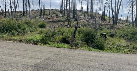 7352 Winding Way, Grizzly Flats, CA 95636 Photo