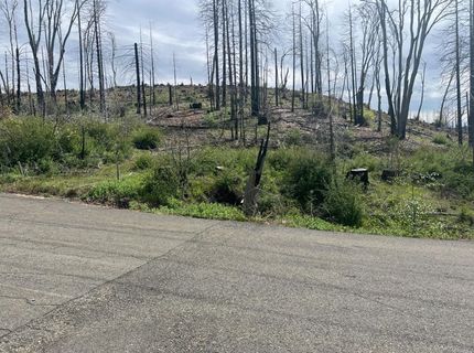 7352 Winding Way, Grizzly Flats, CA 95636 Photo