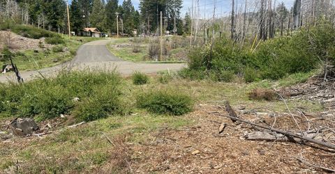 7352 Winding Way, Grizzly Flats, CA 95636 Photo