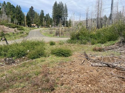 7352 Winding Way, Grizzly Flats, CA 95636 Photo