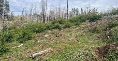 7352 Winding Way, Grizzly Flats, CA 95636 Photo