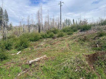 7352 Winding Way, Grizzly Flats, CA 95636 Photo