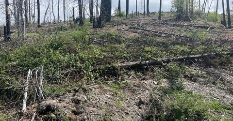 7352 Winding Way, Grizzly Flats, CA 95636 Photo