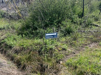 7352 Winding Way, Grizzly Flats, CA 95636 Photo