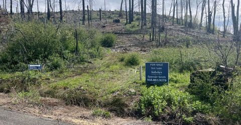 7352 Winding Way, Grizzly Flats, CA 95636 Photo