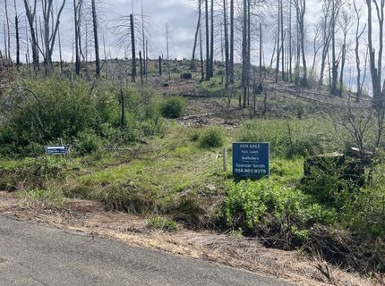 7352 Winding Way, Grizzly Flats, CA 95636 Photo