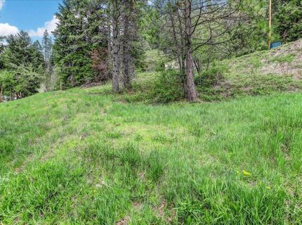 118 E. River St., Downieville, CA 95936 Photo