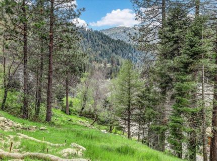 118 E. River St., Downieville, CA 95936 Photo