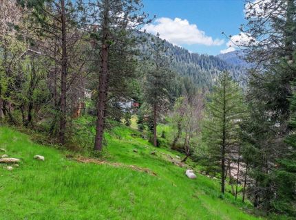 118 E. River St., Downieville, CA 95936 Photo